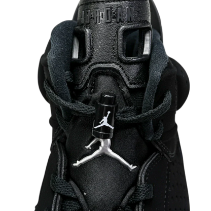 AJ6 Retro 'Chrome'