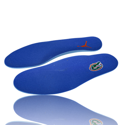 AJ4 Retro 'Florida Gators PE'