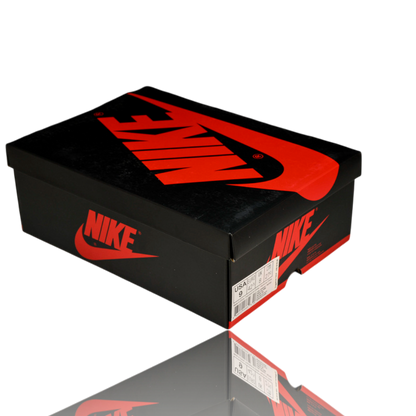 AJ1 Retro High 'Igloo'