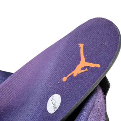 AJ4 Retro 'Canyon Purple'
