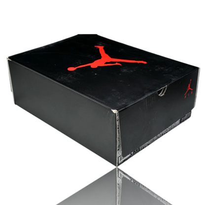 AJ6 Retro 'Black Infrared' (2019)
