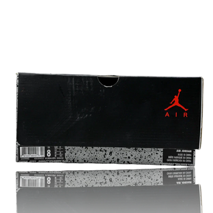 AJ6 Retro 'Black Infrared' (2019)