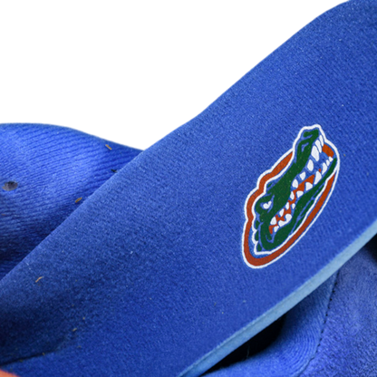 AJ4 Retro 'Florida Gators PE'